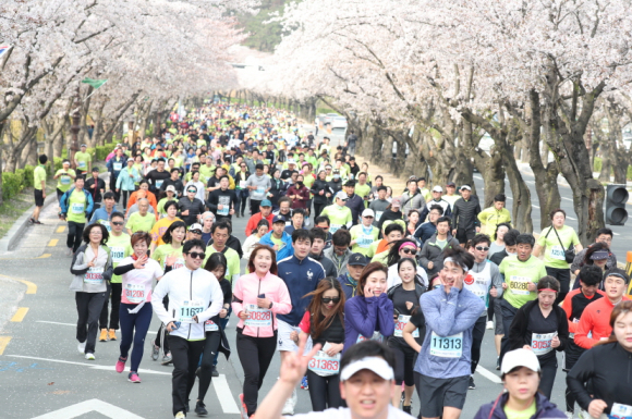 ‘K-컬처 관광이벤트 경주벚꽃마라톤대회