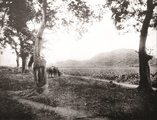 월성(1920년대)