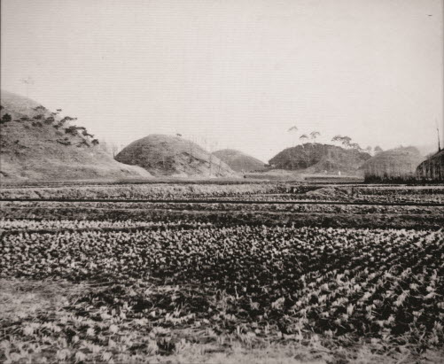 황남리 고분군(1920년대)