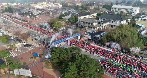 지난해 4월 경주 보문관광지 일원에 열린 ‘제30회 경주벚꽃마라톤대회’.