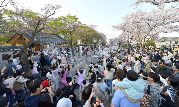 지난해 3월 31일부터 4월 2일까지 3일간 열린 2023경주벚꽃축제 기간 메인 축제장인 대릉원 돌담길 모습.
