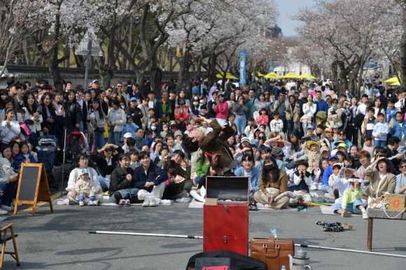 경주 대릉원돌담길 벚꽃축제, 볼거리, 즐길거리 가득.