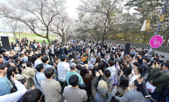 경주 대릉원돌담길 벚꽃축제, 볼거리, 즐길거리 가득.