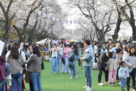 경주 대릉원돌담길 벚꽃축제, 볼거리, 즐길거리 가득.