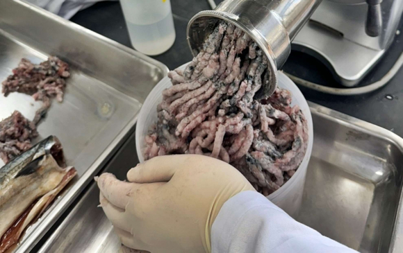 수산물 분석을 위해 연구원이 전처리를 하고 있는 모습.