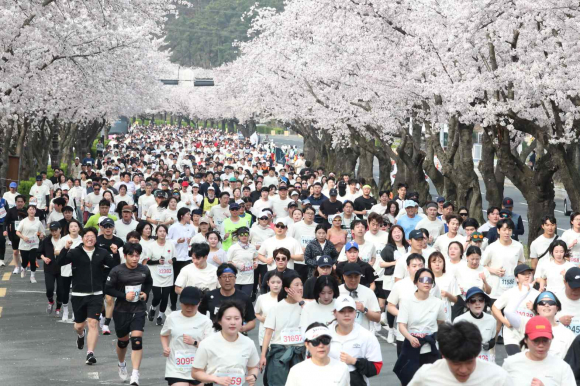 지난 6일 경주보문관광단지에서 ‘제31회 경주벚꽃마라톤대회’가 열렸다.