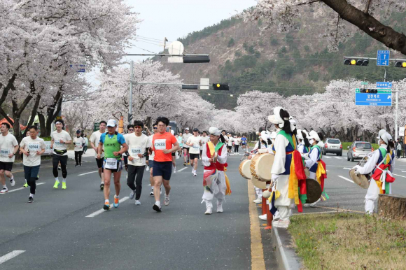지난 6일 경주보문관광단지에서 ‘제31회 경주벚꽃마라톤대회’가 열렸다.