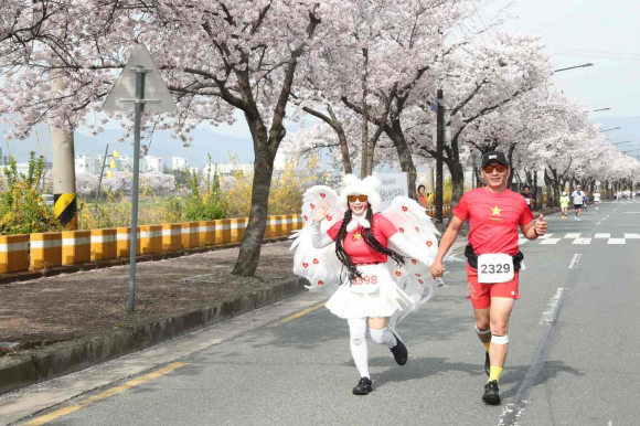 지난 6일 경주보문관광단지에서 ‘제31회 경주벚꽃마라톤대회’가 열렸다.