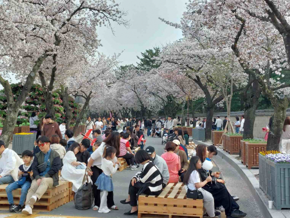 천마총 돌담길  에코플레이드보드.