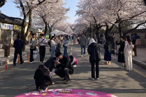 경주 에코플레이 로드(4월 5일).