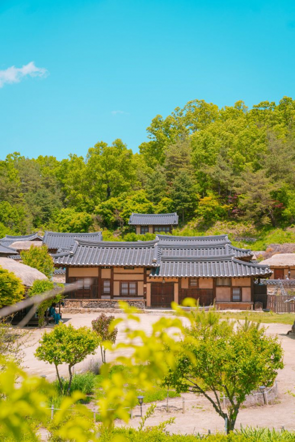 영주 무섬마을, 한옥 전경.