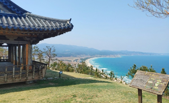 관어대.