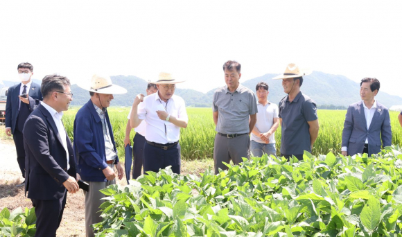 경주시는 18일 안강읍 육통리에서 혁신농업타운 현장간담회를 진행했다