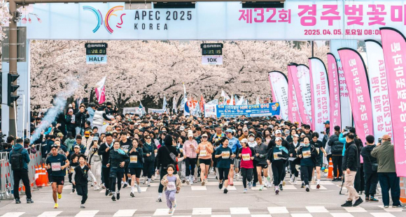 올해 4월 열린 제32회 경주벚꽃마라톤대회에서 참가자들이 만개한 벚꽃 아래서 힘차게 출발하고 있다.