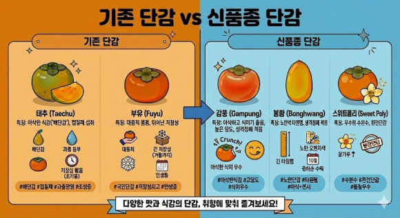 국산 단감 신품종 비교 안내 이미지 : 기존 일본 품종 단감과 국산 신품종 ‘감풍’, ‘봉황’, ‘스위트폴리’의 특성과 장점을 비교해 소개하고 있다.