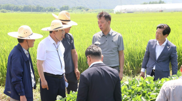 주낙영 경주시장이 혁신농업타운 현장을 방문해 농업인들과 함께 작물 생육 상황을 살피며 현장 간담회를 진행하고 있다.