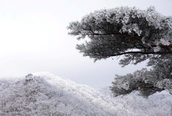 김천 수도산.