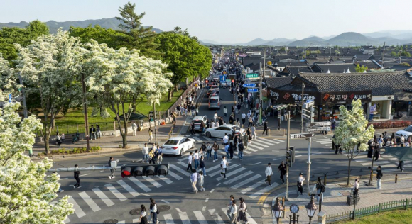 이팝나무가 절정을 맞은 경주 황리단길 일대에서 관광객들이 몰리며 거리가 붐비고 있다.