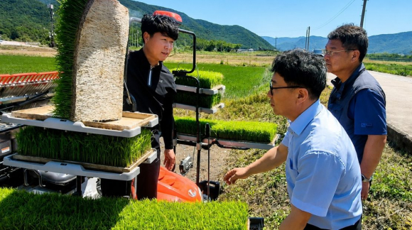 경주시가 산내면 외칠리 일원에서 벼 무경운 이앙 연시회를 열고 저탄소 벼 재배기술 현장 시연과 재배 요령 설명을 진행하고 있다.