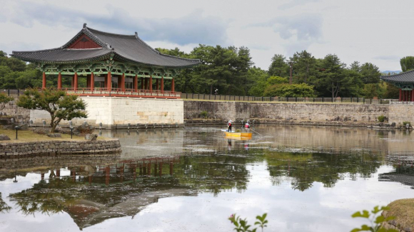 경주시가 동궁과 월지의 아름다운 경관 관리와 수질 개선을 위해 월지 내 수초 제거 등 환경정비사업을 추진하고 있다.