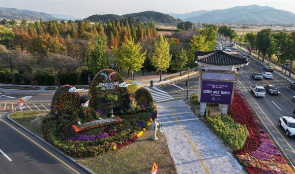 산림청 ‘가로수 조성·관리 우수사례’ 국민투표 후보에 오른 경주시 가로수와 도심 녹지경관 모습.
