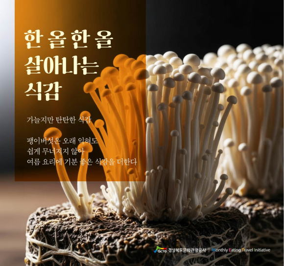 2026년8월음식경북카드뉴스