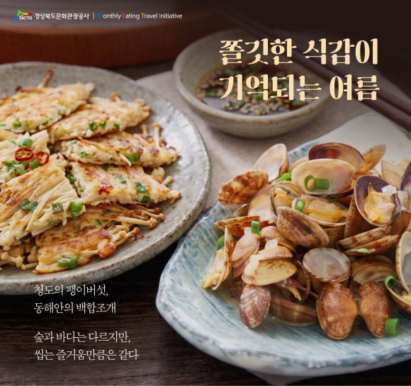 2026년8월 키조개드 뉴스