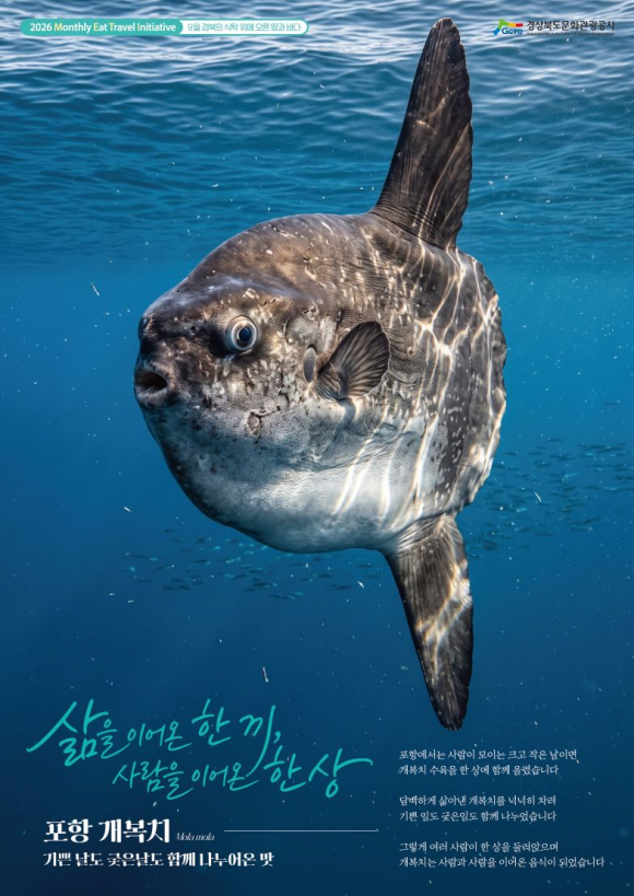 9월 메인포스터_개복치.